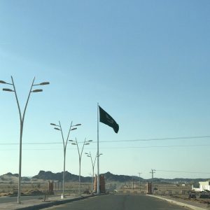 street pole sample 17