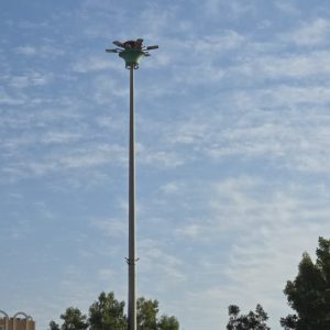 WhatsApp Image 2024-11-24 at 8.39.49 AM