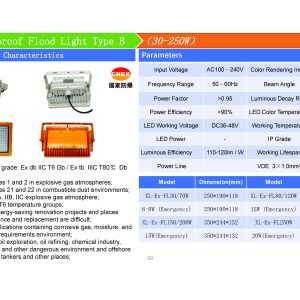 EXPLOSION-PROOF FLOOD LIFGT